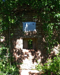 Window