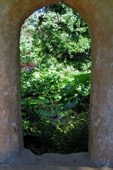 Through the window