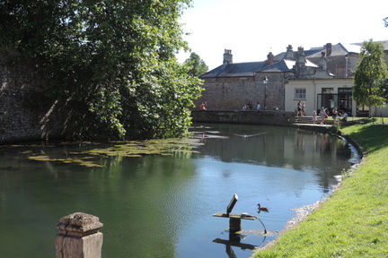 Moat