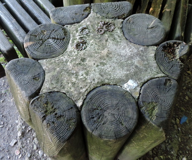 Metal ammonites