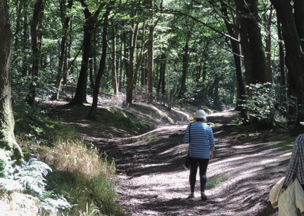 Down the path