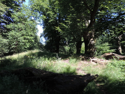 Mound