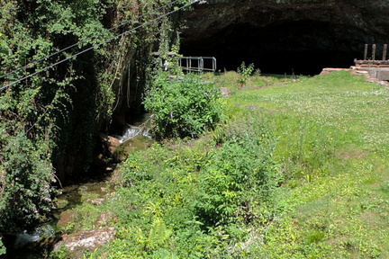 Stream