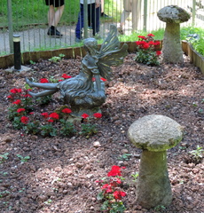 Fairy garden
