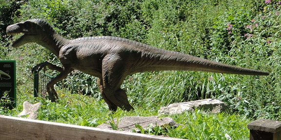 Dinosaur