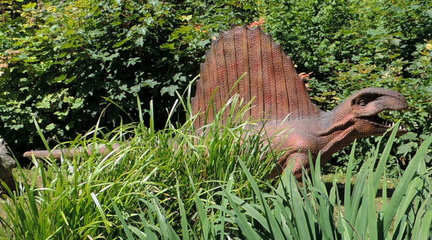 Dimetrodon