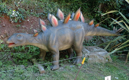 Stegosaurus