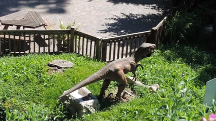 05-Dinosaur