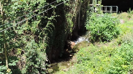Stream
