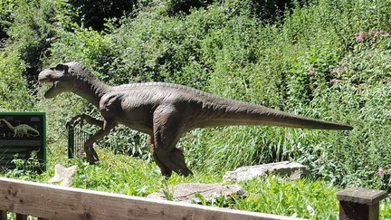 Dinosaur