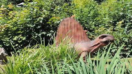 Dimetrodon