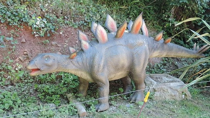 Stegosaurus