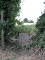 Path