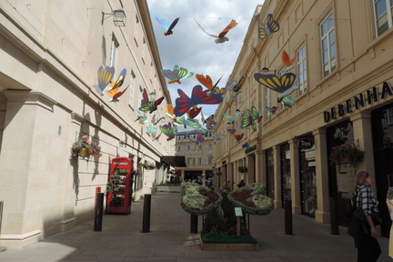 Butterflies