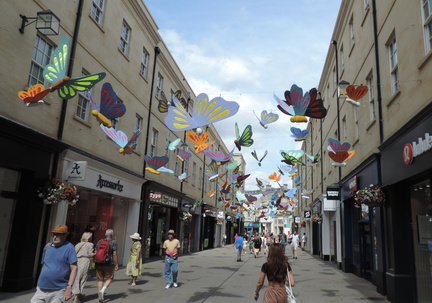 Butterflies