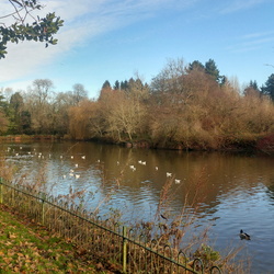 Brueton Park