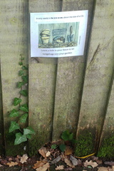 Hedgehog hole