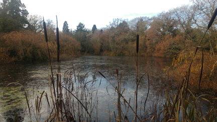 Lake