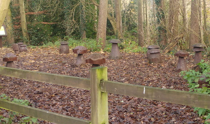 Mushrooms