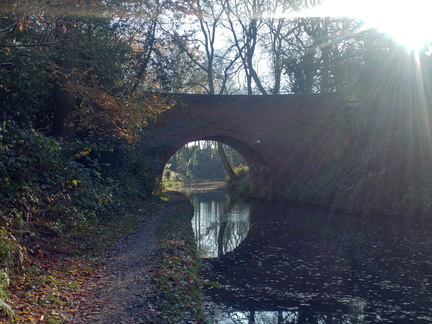 Bridge