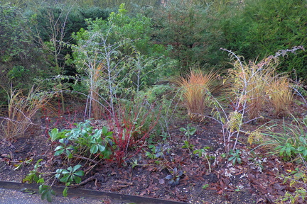 Flower bed