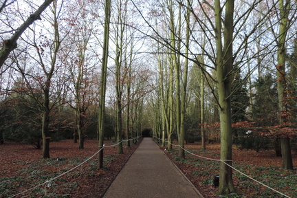 Avenue