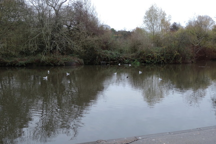 Lake