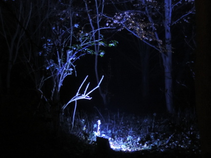 Blue light