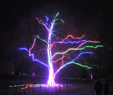 Neon Tree