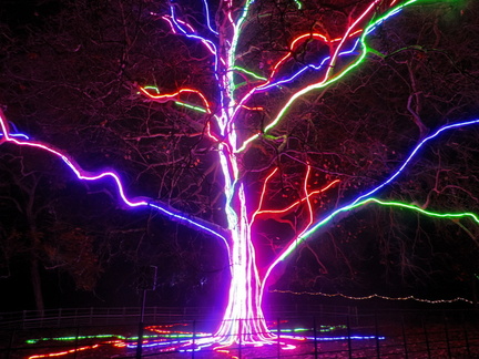 Neon Tree