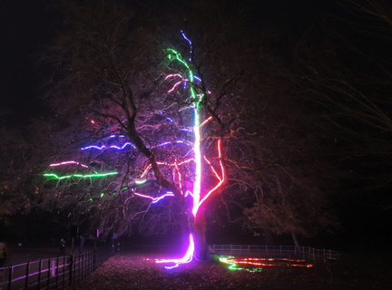 Neon Tree