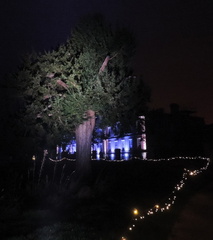 Lights