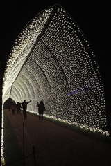 Light tunnel