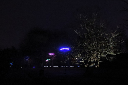 Trees