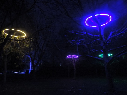 Tree Halos