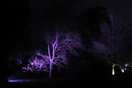 Trees