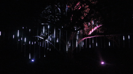 Lights