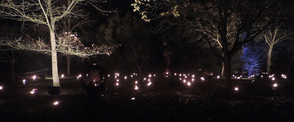 Fire garden