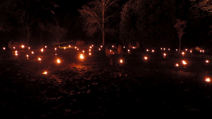 Fire garden