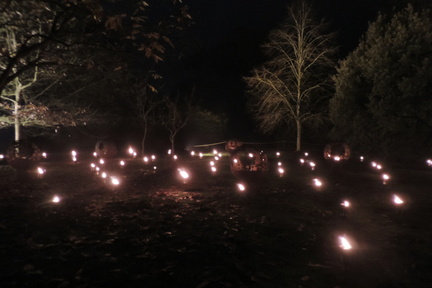 Fire garden