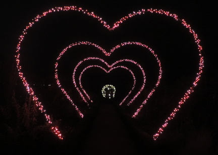 Hearts