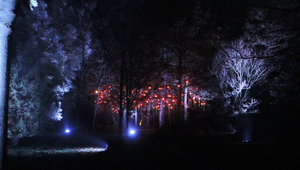 Lights