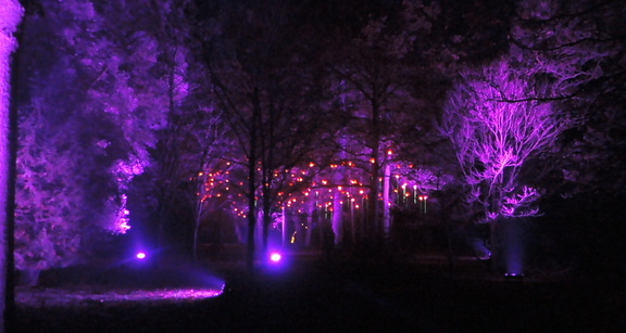Lights