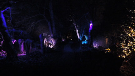 Trees