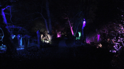 Trees