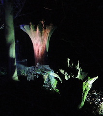 Stumps