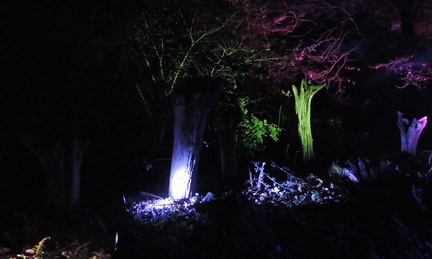 Stumps