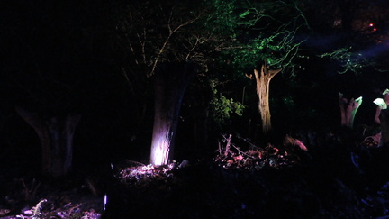 Stumps