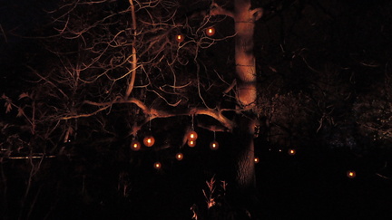 Lights