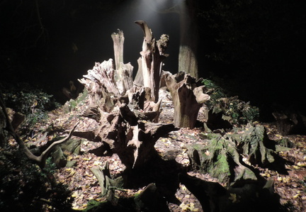 Stumps